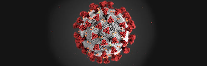 COVID-19 virus image