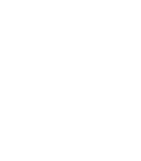 ADA Accessibility Icon