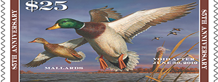 Duck Stamp credit USFWS