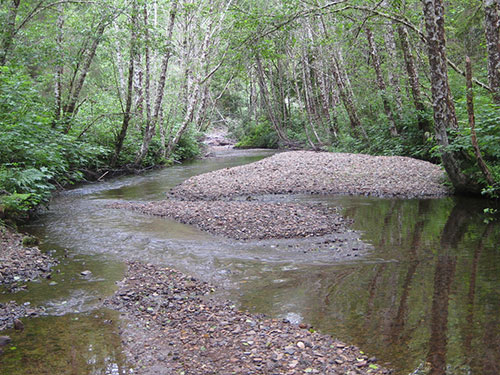 photo of a stream and river with a gravelly bottom