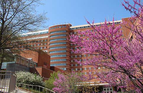 The NIH Clinical Center