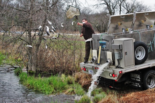 photo of staff stocking fish