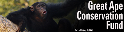 Great Ape Conservation Fund. Credit: Dirck Byler / USFWS