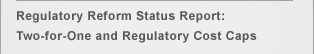 Menu Item - Regulatory Reform Status Report