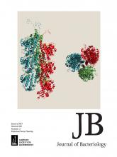 Journal of Bacteriology: 203 (2)