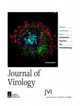 Journal of Virology: 95 (1)