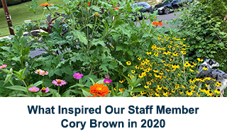 A native flowerbed with text: "What Inspired Our Staff Member Cory Brown in 2020"