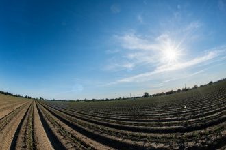 field using microirrigation to mitigate water loss