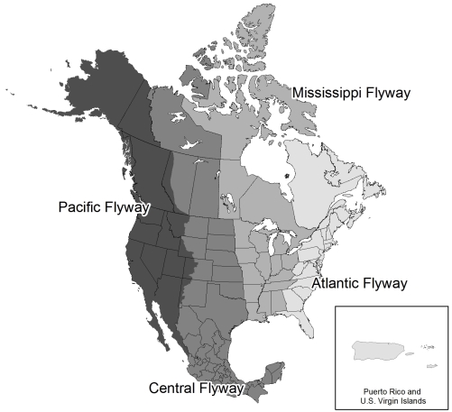 Atlantic, Mississippi, Central and Pacific migratory bird flyway map