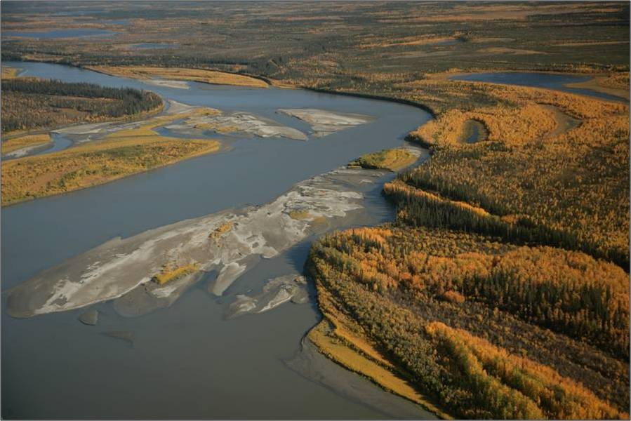 wetlands at Yukon Flats National wildlife refuge