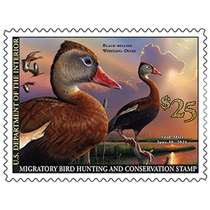 A duck stamp.