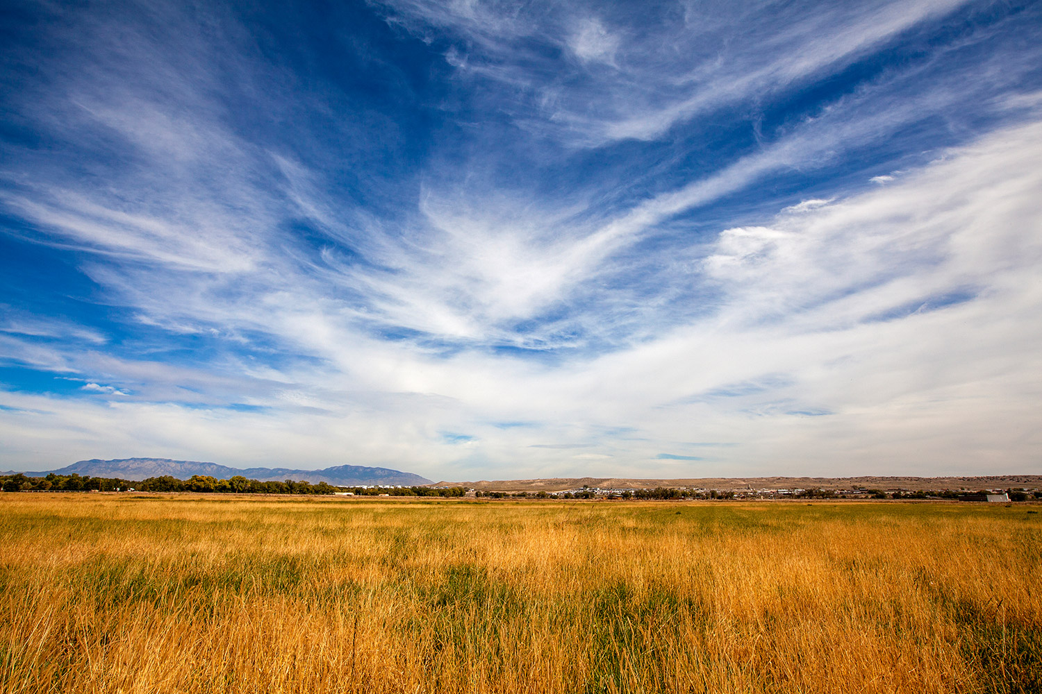 Valle de Oro National Wildlife Refuge, Albuquerque, NM. Credit: Ian Shive.