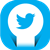 twitter-icon small
