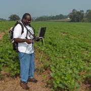 A man with a laptop stands amongst lines of crops in a farm