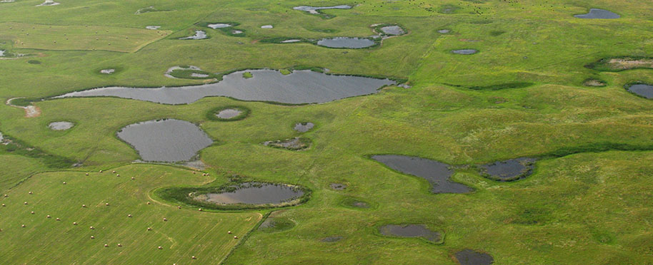 Aerial view of the Prairie Pothole region.