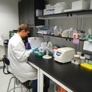 USGS analyst performs DNA extractions in a laboratory