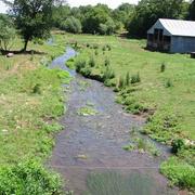 Photo of a rural wadeable stream in Wisconsin