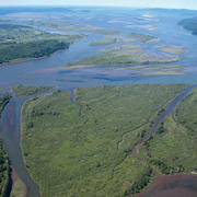 An estuary with many channels widening towards the sea through lush forests and grasslands, village in distance.