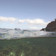 Camera was positioned halfway in and out of water to show a coastal bluff with vegetation in background, coral reef underwater.