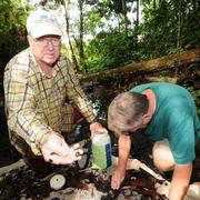 USGS biologists sample fish and macroinvertebrates from Streams in Palau