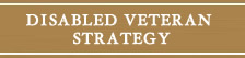 Disabled Veteran Strategy 