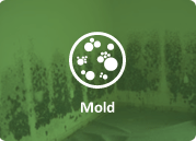 mold graphic