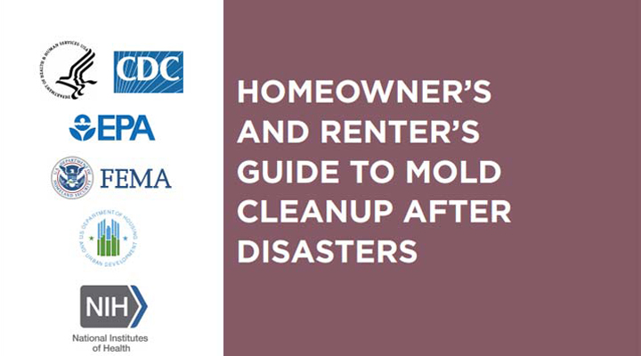 title page from mold cleanup guide for homeowners and renters