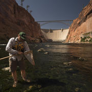 USGS scientist Ted Kennedy uses a net to collect invertebrates in front of the Glen Canyon Dam.