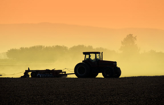 Tractor pulling plow in field