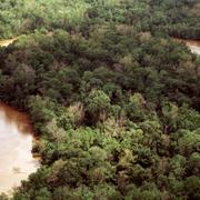 Image shows an aerial view of an oxbend in the Neches River in Big Thicket National Preserve