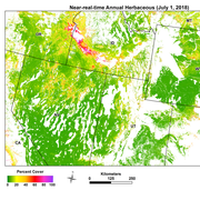 Image of near-real-time herbaceous land cover for portions of the Western United States in 2018