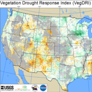 Vegetation Drought response index screenshot