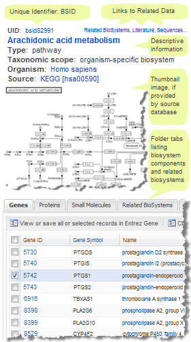 Thumbnail image showing portions of the NCBI BioSystems record bsid82991, for human arachidonic acid.  Click on image to read more about biosystem record components and features in this help document.