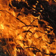 Flames consume woody fuels in a managed wildfire, New Mexico