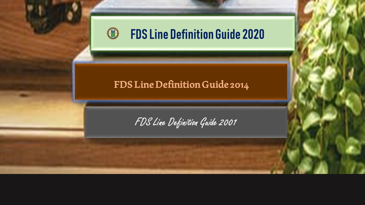 FDS Line Definition Guide 2020. HUD Photo
