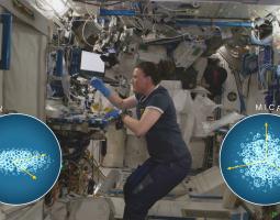 Biomanufacturing Aboard the ISS Poster