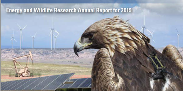 Annual Report