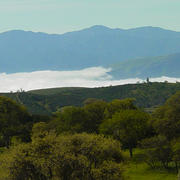 Salinas Valley	