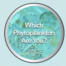 Phytoplankton Quiz