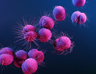 Gonorrhea can be difficult to treat and cause life-threatening pregnancy complications.