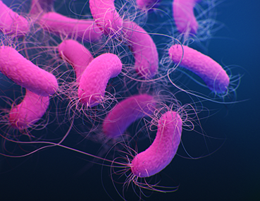 Pseudomonas aeruginosa infections can be dangerous for people with chronic lung diseases.