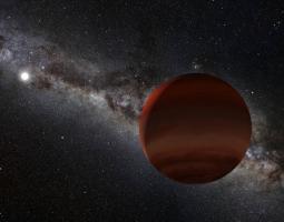 the white dwarf and a brown dwarf companion