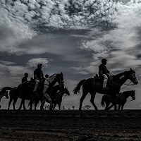 Jockeys on horses in Kentucky