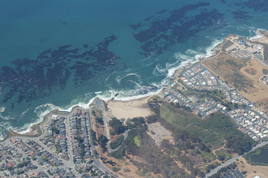 View from the sky of a jagged coastline with many roads, houses, a park, and other buildings nearby.