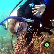 A woman underwater in scuba gear near corals