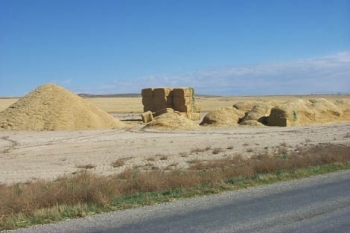 Three examples of storing biomass are shown in this photoâ€”(from left to right), a loose pile of chopped material, a stack of large square bales, and in loaves. The green markings on the biomass serve the purpose of documenting the depth of moisture penetr