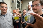 5 researchers, holding a petri dish and a vial with algal samples.