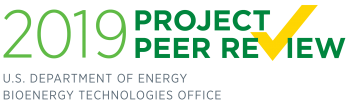 2019 peer review logo