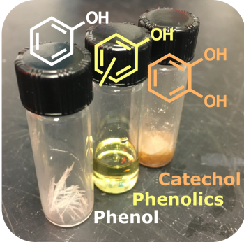 Oxygenated aromatics such as phenol (left), phenolics (center), or catechol (right) can be used in building material, automotive, plastics, or agricultural applications and have now been isolated from a biorefinery waste stream. 