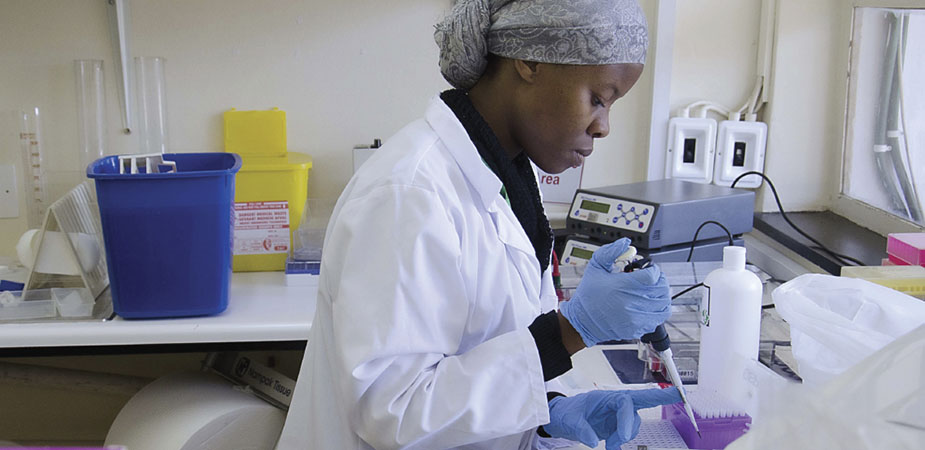 A lab worker wearing a head scarf and lab coat carefully handles a specimen.